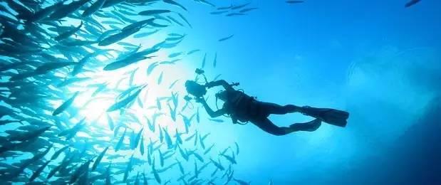 失忆的流浪者